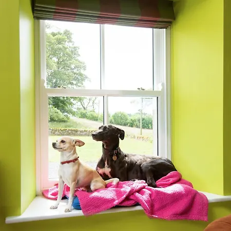 Semesterbostad Fell End *